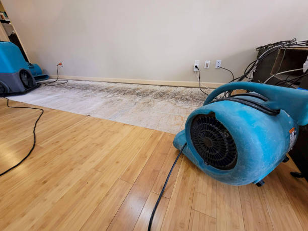 Professional Water Damage Repair technician working in Seminole, AL
